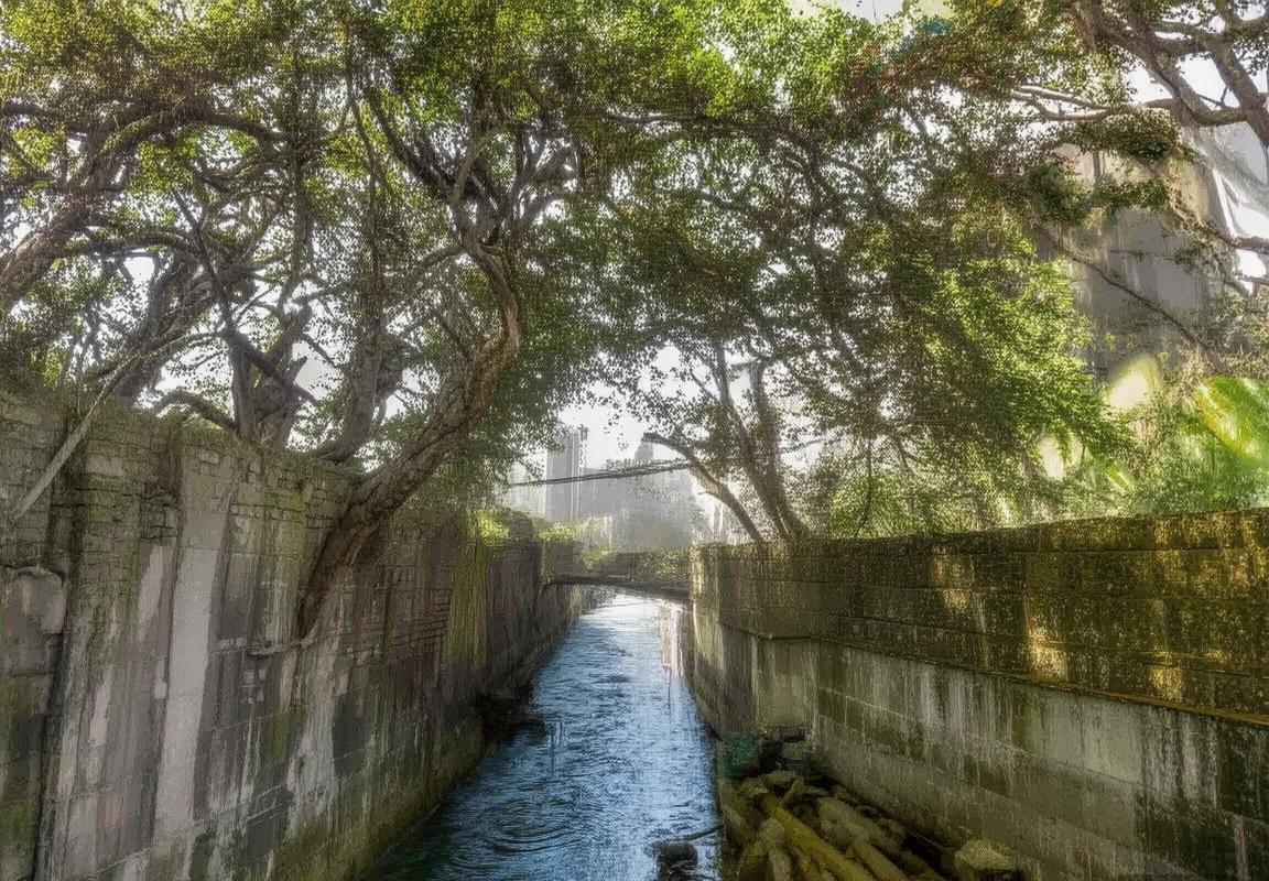 俄罗斯与斯洛伐克足球交锋历史回顾与分析(图3)